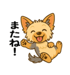 ヨークシャーテリアの毎日スタンプイラスト（個別スタンプ：20）