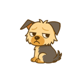 ヨークシャーテリアの毎日スタンプイラスト（個別スタンプ：21）
