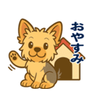ヨークシャーテリアの毎日スタンプイラスト（個別スタンプ：24）