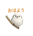 日常会話に使える！シマエナガ（個別スタンプ：1）