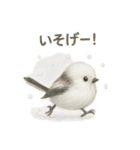 日常会話に使える！シマエナガ（個別スタンプ：10）