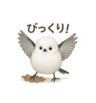 日常会話に使える！シマエナガ（個別スタンプ：13）