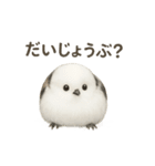 日常会話に使える！シマエナガ（個別スタンプ：14）