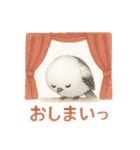 日常会話に使える！シマエナガ（個別スタンプ：24）