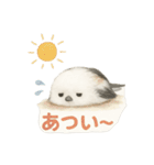 日常会話に使える！シマエナガ（個別スタンプ：25）