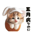 ❤️うさ耳パーカー/5月病な子猫（個別スタンプ：2）