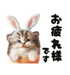 ❤️うさ耳パーカー/5月病な子猫（個別スタンプ：3）