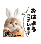 ❤️うさ耳パーカー/5月病な子猫（個別スタンプ：4）