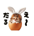 ❤️うさ耳パーカー/5月病な子猫（個別スタンプ：6）