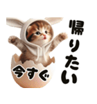 ❤️うさ耳パーカー/5月病な子猫（個別スタンプ：9）