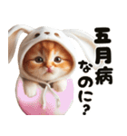 ❤️うさ耳パーカー/5月病な子猫（個別スタンプ：10）