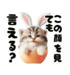 ❤️うさ耳パーカー/5月病な子猫（個別スタンプ：21）