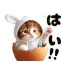 ❤️うさ耳パーカー/5月病な子猫（個別スタンプ：22）
