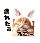 ❤️うさ耳パーカー/5月病な子猫（個別スタンプ：30）