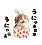 ❤️うさ耳パーカー/5月病な子猫（個別スタンプ：31）