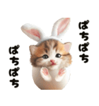 ❤️うさ耳パーカー/5月病な子猫（個別スタンプ：33）