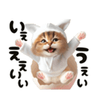 ❤️うさ耳パーカー/5月病な子猫（個別スタンプ：37）