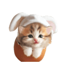 ❤️うさ耳パーカー/5月病な子猫（個別スタンプ：40）