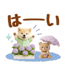 大人可愛い癒し豆しばの梅雨スタンプ（個別スタンプ：3）