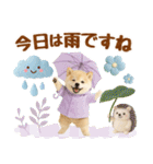 大人可愛い癒し豆しばの梅雨スタンプ（個別スタンプ：5）