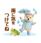 大人可愛い癒し豆しばの梅雨スタンプ（個別スタンプ：6）