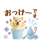 大人可愛い癒し豆しばの梅雨スタンプ（個別スタンプ：9）