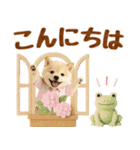 大人可愛い癒し豆しばの梅雨スタンプ（個別スタンプ：11）