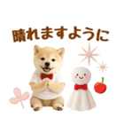 大人可愛い癒し豆しばの梅雨スタンプ（個別スタンプ：15）
