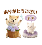 大人可愛い癒し豆しばの梅雨スタンプ（個別スタンプ：18）