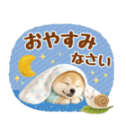 大人可愛い癒し豆しばの梅雨スタンプ（個別スタンプ：20）
