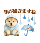 大人可愛い癒し豆しばの梅雨スタンプ（個別スタンプ：21）