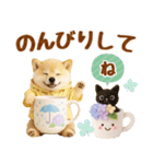 大人可愛い癒し豆しばの梅雨スタンプ（個別スタンプ：24）