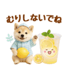 大人可愛い癒し豆しばの梅雨スタンプ（個別スタンプ：36）