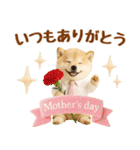 大人可愛い癒し豆しばの梅雨スタンプ（個別スタンプ：39）