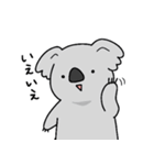 もふっとコアラ9（個別スタンプ：16）