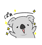 もふっとコアラ9（個別スタンプ：20）