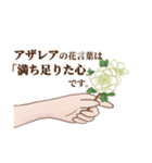 花言葉で想いを伝えるスタンプ（個別スタンプ：1）