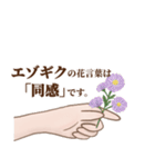 花言葉で想いを伝えるスタンプ（個別スタンプ：3）