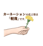花言葉で想いを伝えるスタンプ（個別スタンプ：4）