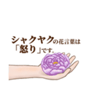 花言葉で想いを伝えるスタンプ（個別スタンプ：12）