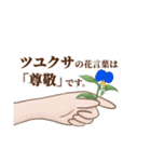 花言葉で想いを伝えるスタンプ（個別スタンプ：13）