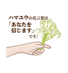花言葉で想いを伝えるスタンプ（個別スタンプ：17）