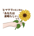 花言葉で想いを伝えるスタンプ（個別スタンプ：19）