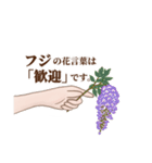 花言葉で想いを伝えるスタンプ（個別スタンプ：20）