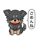 チワワ(ロングコート＋ブラック＆タン)（個別スタンプ：3）