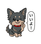 チワワ(ロングコート＋ブラック＆タン)（個別スタンプ：4）