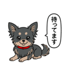 チワワ(ロングコート＋ブラック＆タン)（個別スタンプ：7）
