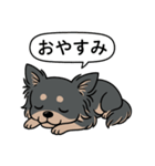 チワワ(ロングコート＋ブラック＆タン)（個別スタンプ：8）