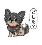 チワワ(ロングコート＋ブラック＆タン)（個別スタンプ：9）