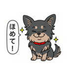 チワワ(ロングコート＋ブラック＆タン)（個別スタンプ：11）